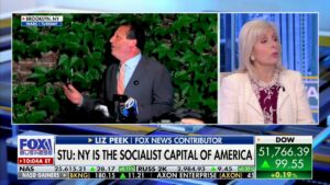 Liz Peek: New York's Socialist Takeover Should Frighten the Whole Country